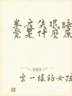 半夜失眠睡不着觉是什么原因呢