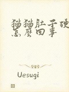 猫猫肚子硬硬的怎么回事