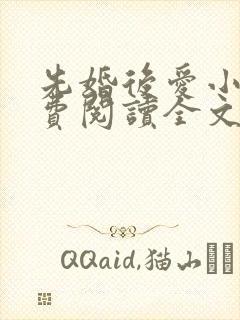 先婚后爱小说免费阅读全文封面