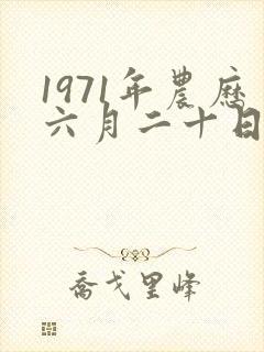 1971年农历六月二十日出生的命运
