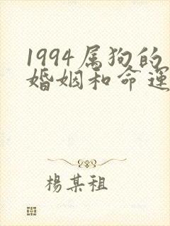 1994属狗的婚姻和命运如何