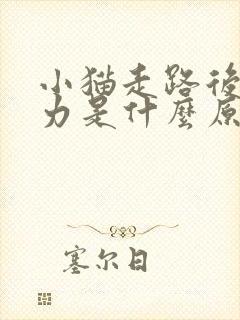 小猫走路后腿无力是什么原因