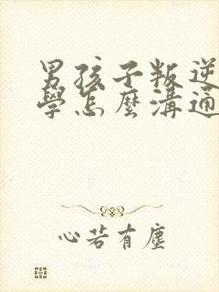 男孩子叛逆不上学怎么沟通封面