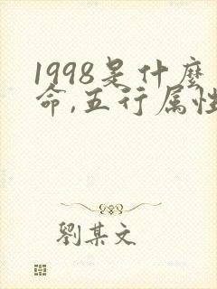 1998是什么命,五行属性