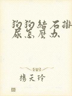 狗狗结石排不出尿怎么办