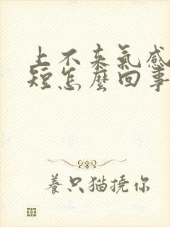 上不来气感觉气短怎么回事封面