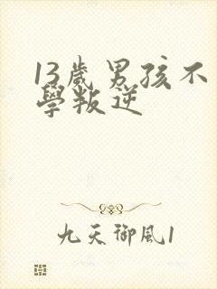 13岁男孩不上学叛逆