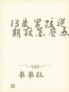 13岁男孩逆反期该怎么办