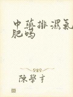 中药排湿气能减肥吗