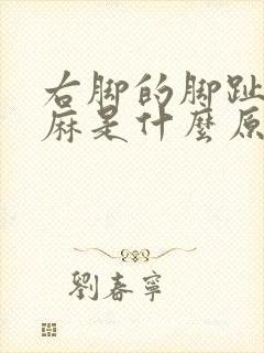 右脚的脚趾头发麻是什么原因