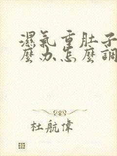 湿气重肚子大怎么办怎么调理封面