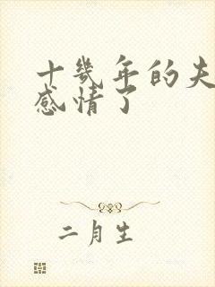 十几年的夫妻没感情了封面