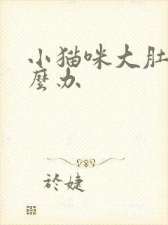 小猫咪大肚子怎么办封面