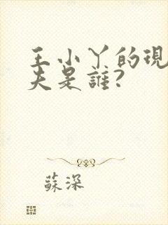 王小丫的现任丈夫是谁?