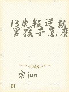 13岁叛逆期的男孩子怎么去引导