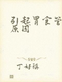 引起胃食管反流原因