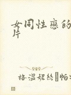女同性恋的黄色片