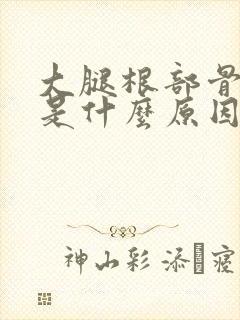 大腿根部骨头疼是什么原因引起的