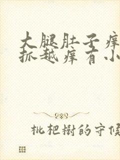 大腿肚子痒痒越抓越痒有小红疙瘩