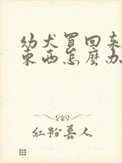 幼犬买回来不吃东西怎么办封面