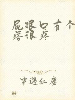 屁眼口有个硬疙瘩很疼封面