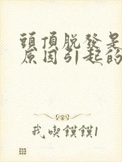 头顶脱发是什么原因引起的女封面