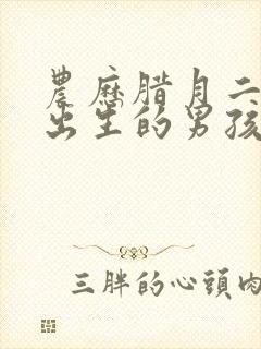 农历腊月二十五出生的男孩命运怎么样封面