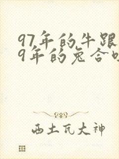 97年的牛跟99年的兔合吗