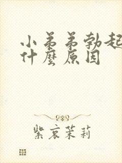 小弟弟勃起痛是什么原因