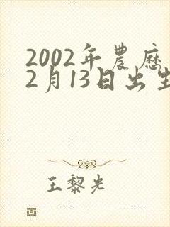 2002年农历2月13日出生的男孩命运