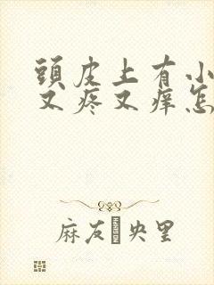 头皮上有小疙瘩又疼又痒怎么回事封面