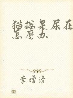 猫总是尿在床上怎么办封面