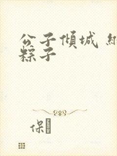 公子倾城 维和粽子