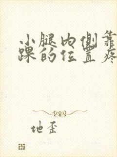 小腿内侧靠近脚踝的位置疼是为什么