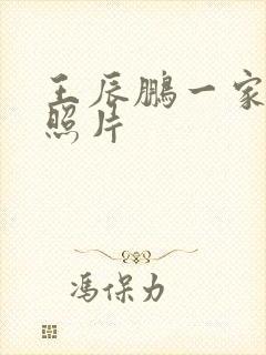 王辰鹏一家三口照片