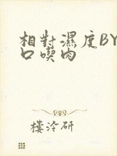 相对湿度BY大口吃肉