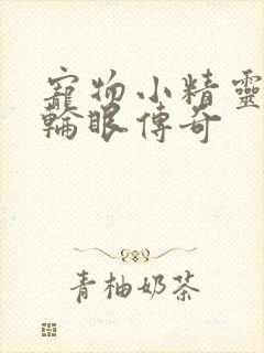 宠物小精灵之写轮眼传奇