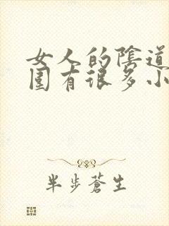 女人的阴道口周围有很多小肉粒