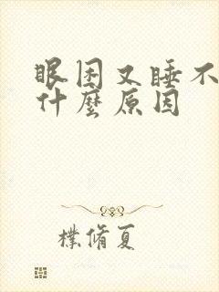 眼困又睡不着是什么原因