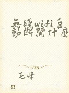 无线wifi自动断开什么原因