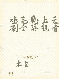 鸡毛飞上天电视剧全集观看免费星辰封面