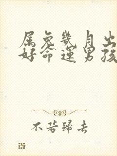 属兔几月出生最好命运男孩