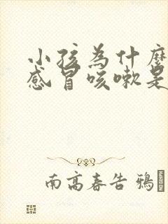 小孩为什么老是感冒咳嗽是什么原因封面