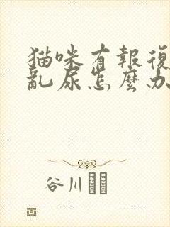 猫咪有报复心理乱尿怎么办