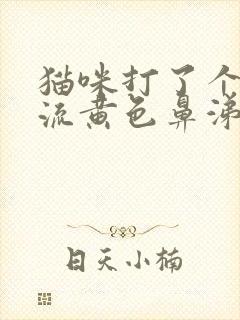 猫咪打了个喷嚏流黄色鼻涕封面