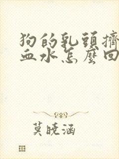 狗的乳头挤出来血水怎么回事