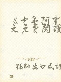 《少年阿宾》全文免费阅读