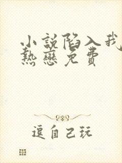 小说陷入我们的热恋免费