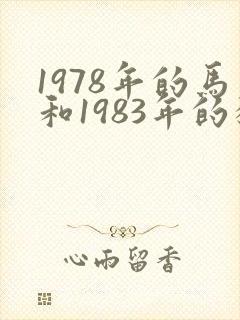 1978年的马和1983年的猪婚姻如何封面
