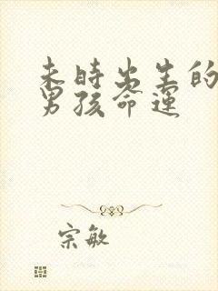 未时出生的属羊男孩命运封面